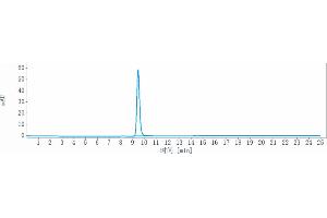 The purity of Anti-SLC44A4 Reference Antibody (ASG-5ME) is more than 95 % , determined by SEC-HPLC. (Rekombinanter SLC44A4 Antikörper)