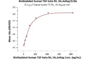Immobilized Human Latent TGFB1, His Tag (ABIN4949126,ABIN4949127) at 1 μg/mL (100 μL/well) can bind Biotinylated Human  RII, His,Avitag (ABIN6973280) with a linear range of 5-78 ng/mL (QC tested). (TGFBR2 Protein (AA 23-159) (His tag,AVI tag,Biotin))