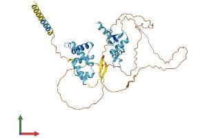AlphaFold protein structure predicition of Human Recombinant ZNF174 Protein, UniprotID Q15697 (ZNF174 Protein (AA 1-407) (His tag))