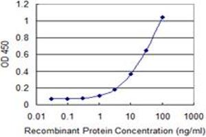 Detection limit for recombinant GST tagged STIM1 is 0. (STIM1 Antikörper  (AA 24-685))