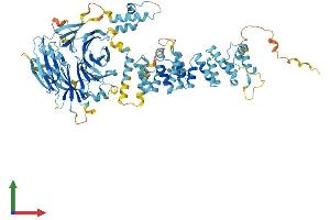 Protein Structure (PS) image for Hermansky-Pudlak Syndrome 6 (HPS6) (AA 1-775) protein (His tag) (ABIN7548305)