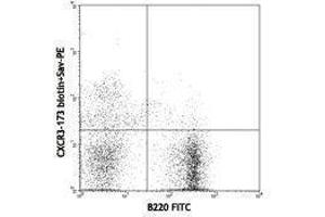 Flow Cytometry (FACS) image for anti-Chemokine (C-X-C Motif) Receptor 3 (CXCR3) antibody (Biotin) (ABIN2660967) (CXCR3 Antikörper  (Biotin))