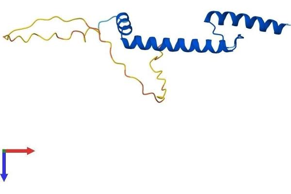 NHLH1 Protein (AA 1-133) (His tag)
