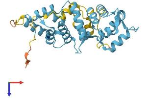 Calretinin Protein (AA 1-271) (His tag)