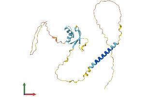 Protein Structure (PS) image for H1 Histone Family, Member N, Testis-Specific (H1FNT) (AA 1-255) protein (His tag) (ABIN7548196)