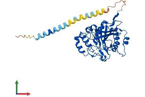 AlphaFold protein structure predicition of Human Recombinant B4GALT4 Protein, UniprotID O60513