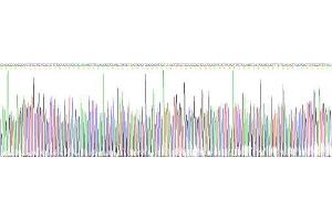 Gene sequencing extract of Mouse Apolipoprotein C3 Protein. (APOC3 Protein)