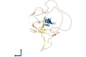 Protein Structure (PS) image for Forkhead Box C1 (FOXC1) (AA 1-553) protein (His tag) (ABIN7547709)