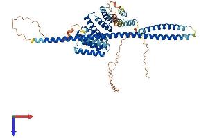 KLC3 Protein (AA 1-508) (His tag)