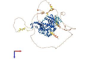 POLK Protein (AA 1-870) (His tag)