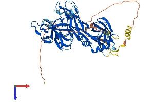 RBPJ Protein (AA 1-526) (His tag)