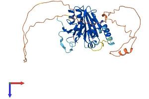 APOBEC4 Protein (AA 1-374) (His tag)
