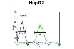 SFRS16 Antibody (Center) (ABIN651544 and ABIN2840292) flow cytometric analysis of HepG2 cells (right histogram) compared to a negative control cell (left histogram). (SFRS16 Antikörper  (AA 254-283))