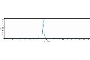 anti-Fibroblast Growth Factor Receptor 4 (FGFR4) antibody