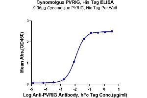 PVRIG Protein (AA 41-171) (His tag)
