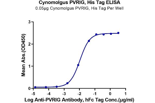 PVRIG Protein (AA 41-171) (His tag)