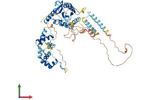 Protein Structure (PS) image for Jerky Homolog (JRK) (AA 1-557) protein (His tag) (ABIN7557641)