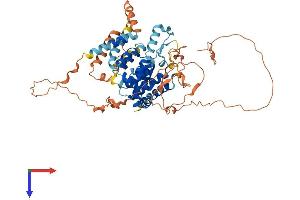 AlphaFold protein structure predicition of Human Recombinant TBC1D3L Protein, UniprotID B9A6J9