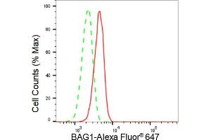 Flow cytometric analysis of BAG1 expression in C2C12 cells using BAG1 antibody (ABIN7797743), 1:2,000). (Rekombinanter BAG1 Antikörper)