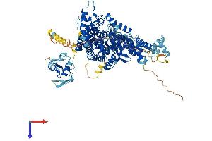 PRKRIR Protein (AA 1-761) (His tag)