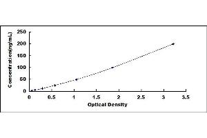 Typical standard curve