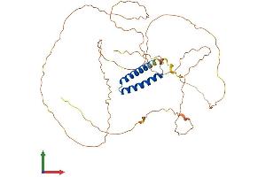 Protein Structure (PS) image for Synovial Sarcoma Translocation Gene On Chromosome 18-Like 1 (SS18L1) (AA 1-396) protein (His tag) (ABIN7553549)