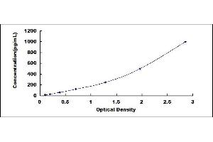 ELISA image for Insulin-Like Growth Factor 1 (IGF1) ELISA Kit (ABIN4947698)