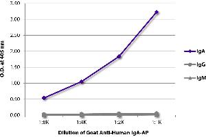 ELISA image for Goat anti-Human IgA (Heavy Chain) antibody (Alkaline Phosphatase (AP)) (ABIN375684)