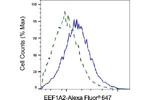 Validation of EEF1A2 knockdown using flow cytometry. (Rekombinanter EEF1A2 Antikörper)