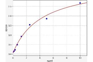 CUBN ELISA Kit