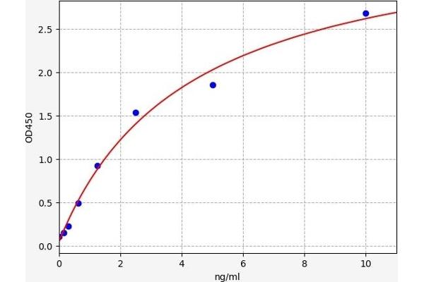 CUBN ELISA Kit