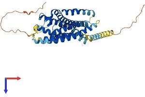 CXCR4 Protein (AA 1-359) (His tag)