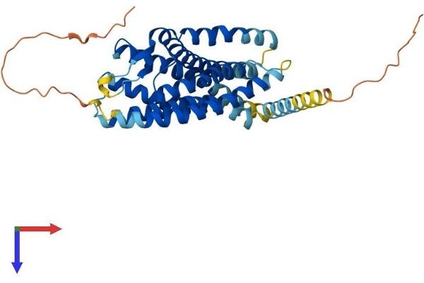 CXCR4 Protein (AA 1-359) (His tag)
