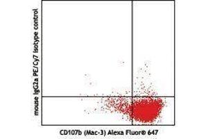Flow Cytometry (FACS) image for anti-Interleukin 27 (IL27) antibody (PE-Cy7) (ABIN2659372) (IL-27 Antikörper  (PE-Cy7))