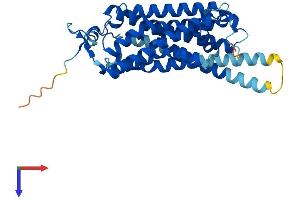 TAAR9 Protein (AA 1-348) (His tag)