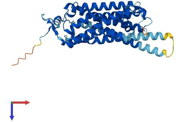 TAAR9 Protein (AA 1-348) (His tag)