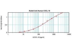 Image no. 2 for anti-Chemokine (C-X-C Motif) Ligand 16 (CXCL16) antibody (ABIN1497687) (CXCL16 Antikörper)