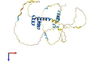 RAX Protein (AA 1-346) (His tag)