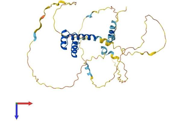 RAX Protein (AA 1-346) (His tag)