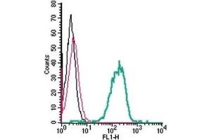 Flow Cytometry (FACS) image for anti-EPH Receptor A2 (EPHA2) (AA 333-347), (Extracellular) antibody (ABIN7043122)