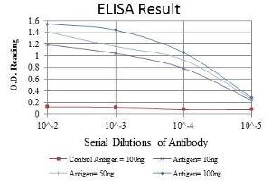 ELISA image for anti-Nuclear Factor of kappa Light Polypeptide Gene Enhancer in B-Cells 1 (NFKB1) antibody (ABIN969313)