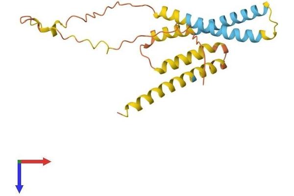 TIMM23 Protein (AA 1-209) (His tag)