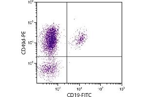 Human peripheral blood lymphocytes were stained with Mouse Anti-Human CD49d-PE. (ITGA4 Antikörper  (PE))
