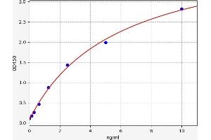 Typical standard curve (Smooth Muscle Actin ELISA Kit)