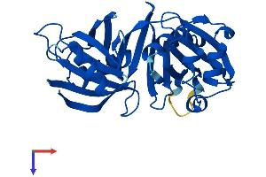 PBLD1 Protein (AA 1-288) (His tag)