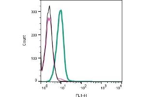Cell surface detection of CTL1 by indirect flow cytometry in live intact human Jurkat T-cell leukemia cell line: + goat-anti-rabbit-FITC.