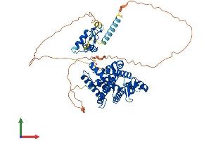 Protein Structure (PS) image for RAR-Related Orphan Receptor A (RORA) (AA 1-523) protein (His tag) (ABIN7563380)