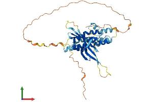 AlphaFold protein structure predicition of Human Recombinant C19orf67 Protein, UniprotID A6NJJ6