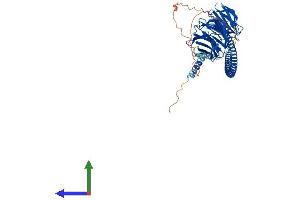 AlphaFold protein structure predicition of Mouse Recombinant Atg16l1 Protein, UniprotID Q8C0J2