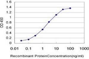 ELISA image for anti-ATP-Binding Cassette, Sub-Family C (CFTR/MRP), Member 6 (ABCC6) (AA 831-930) antibody (ABIN559916)